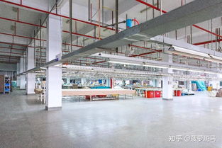 买什么样的枕头对颈椎最好 品牌与健康管理的双重考量